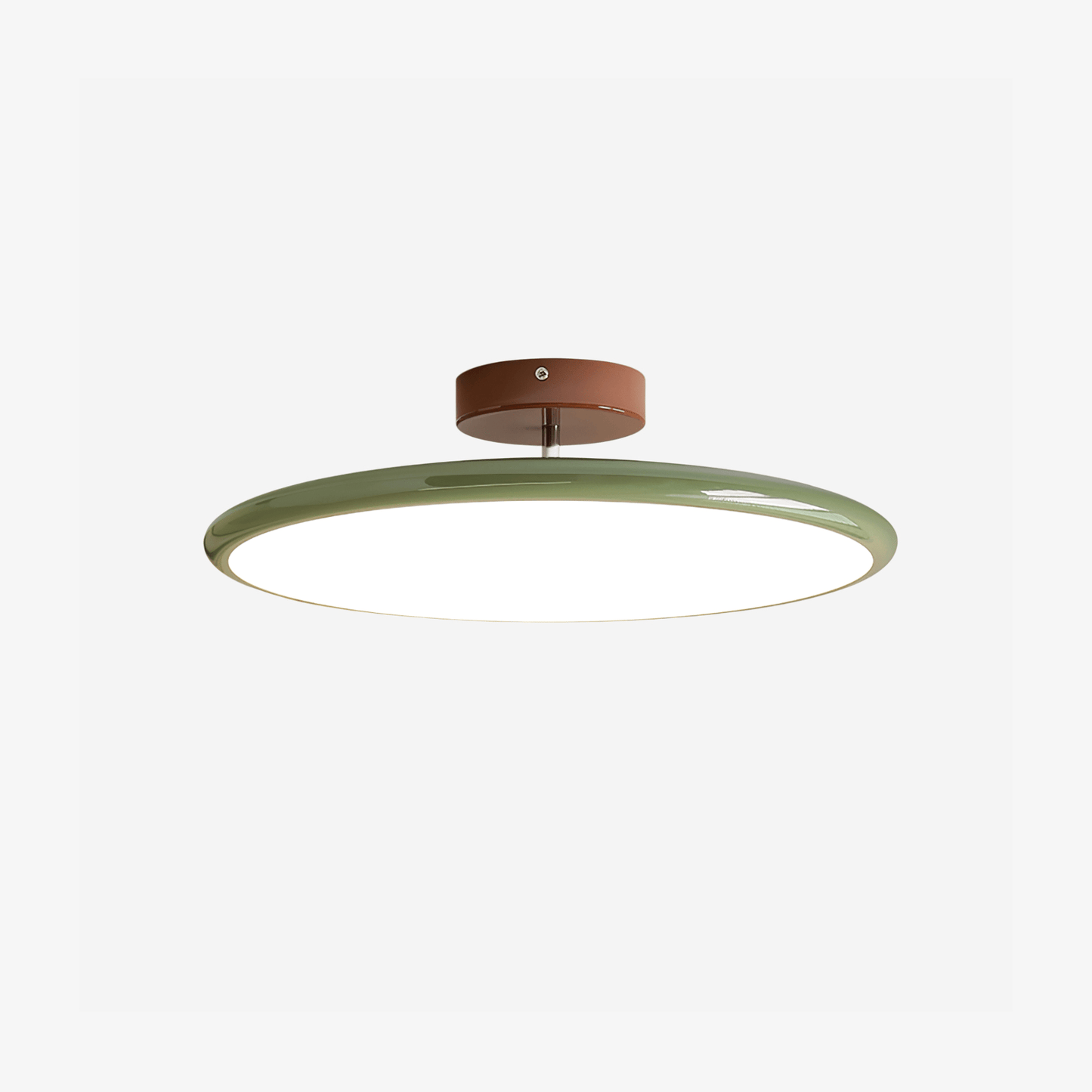 Ceiling Lamp with Adjustable Head