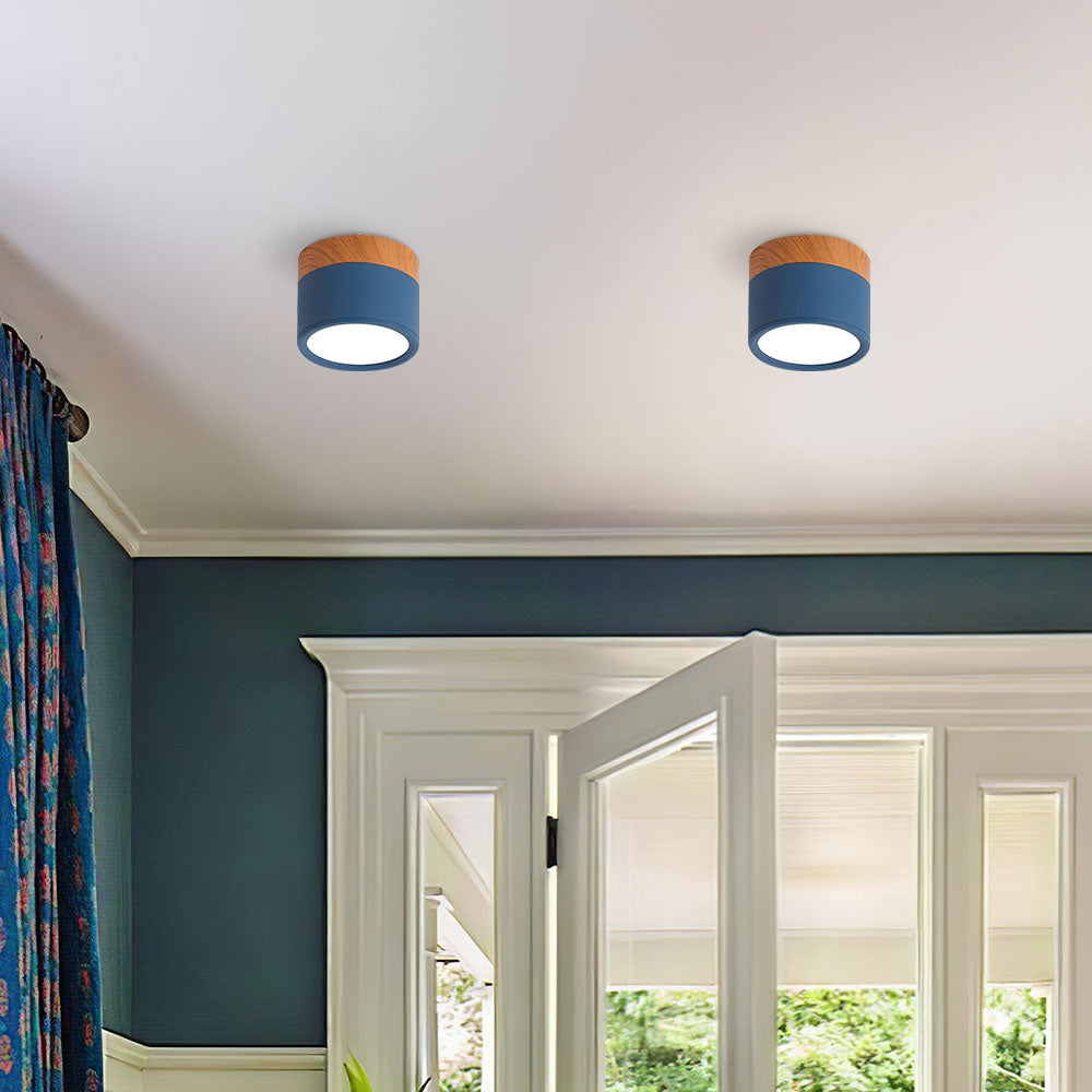Circular Dual-Finish Ceiling Light