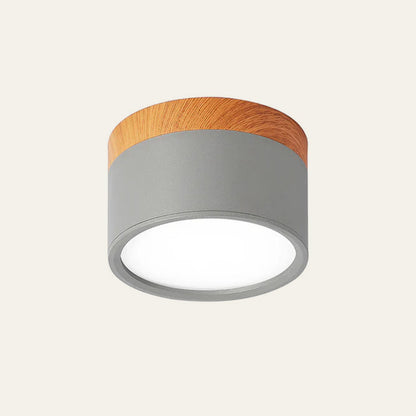 Circular Dual-Finish Ceiling Light
