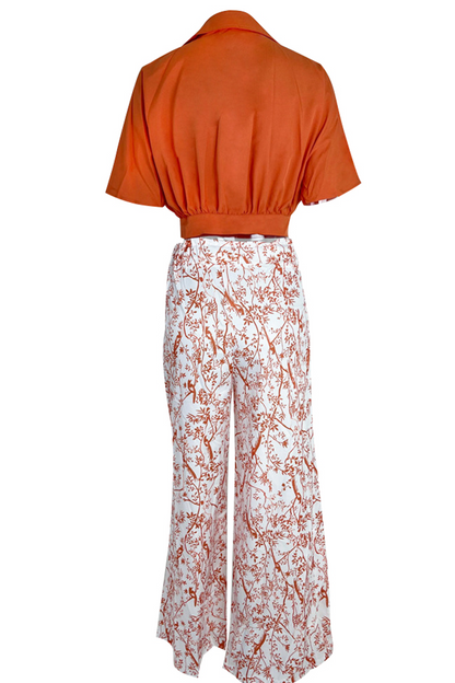 Women's V-Neck Short Sleeve Wide Leg Printed Two-Piece Pants Set