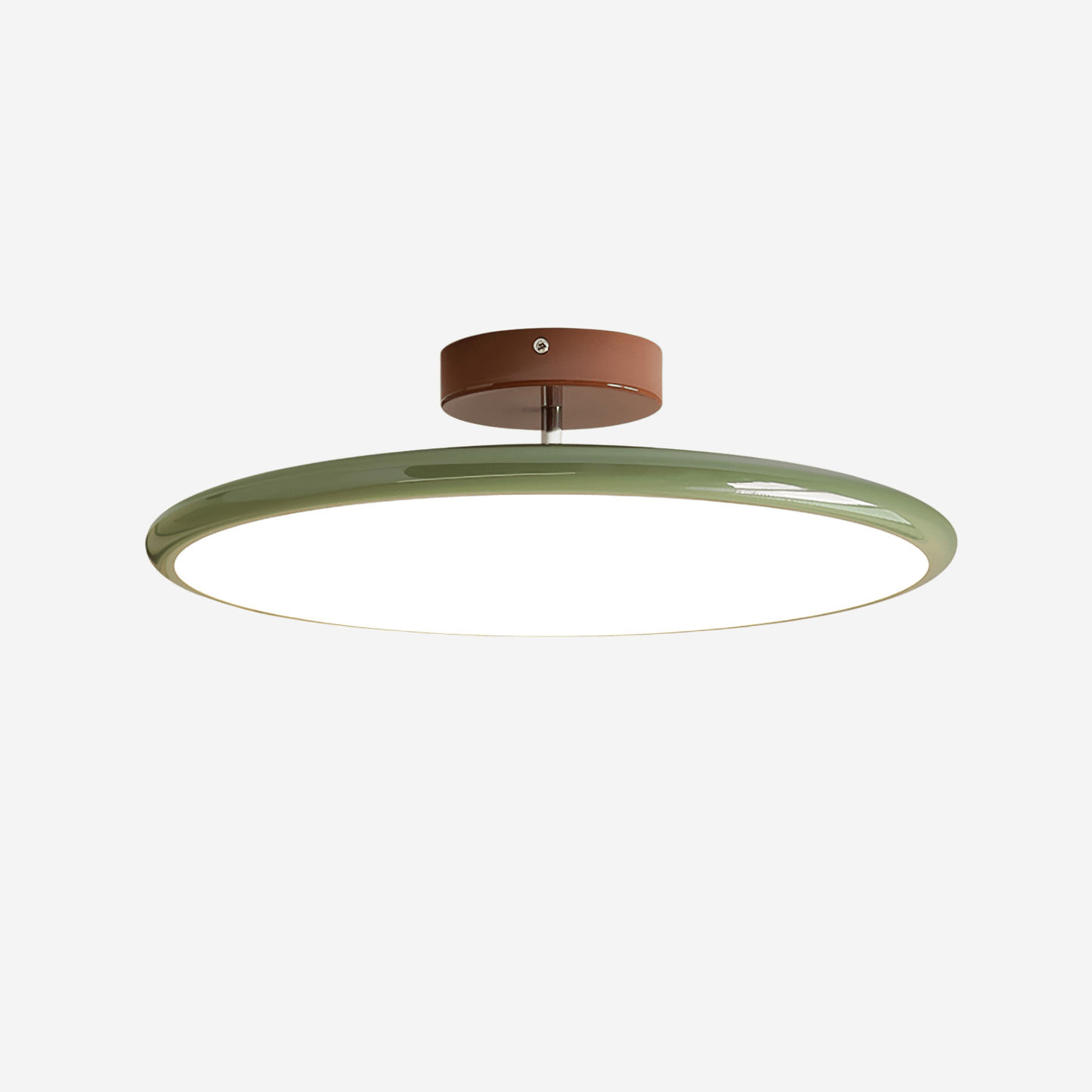 Ceiling Lamp with Adjustable Head