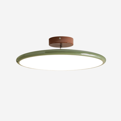 Ceiling Lamp with Adjustable Head