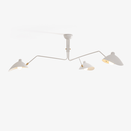 Multi Arm Metal Ceiling Light