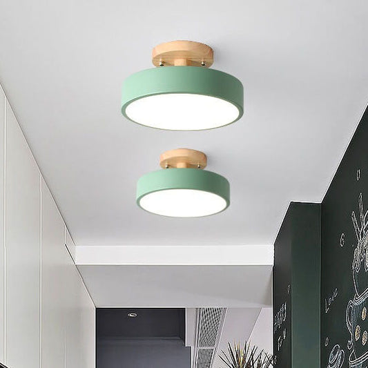 Ceiling Light LED Fixture for Hallway