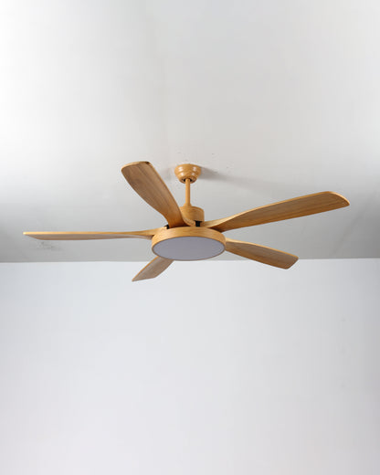 LED Ceiling Light with Reversible Fan