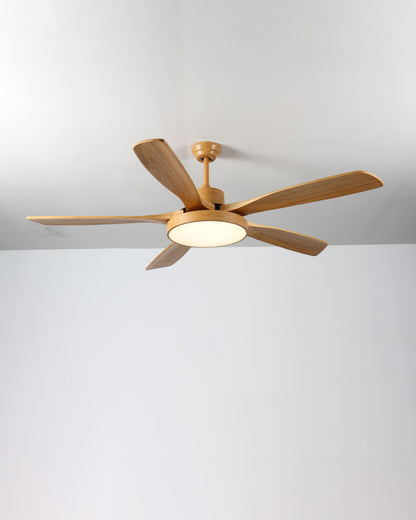 LED Ceiling Light with Reversible Fan