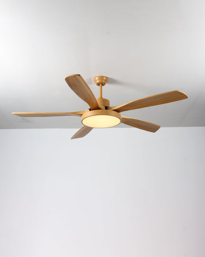 LED Ceiling Light with Reversible Fan