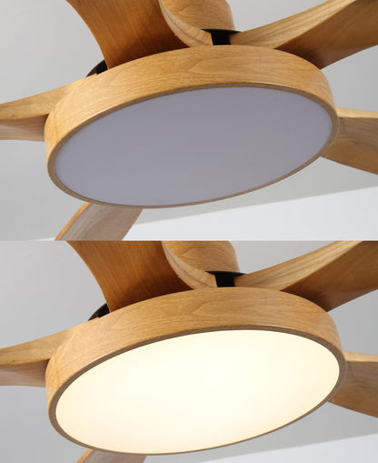 LED Ceiling Light with Reversible Fan