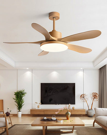 LED Ceiling Light with Reversible Fan