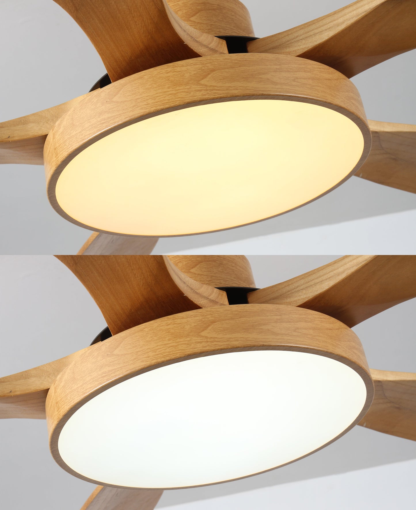 LED Ceiling Light with Reversible Fan
