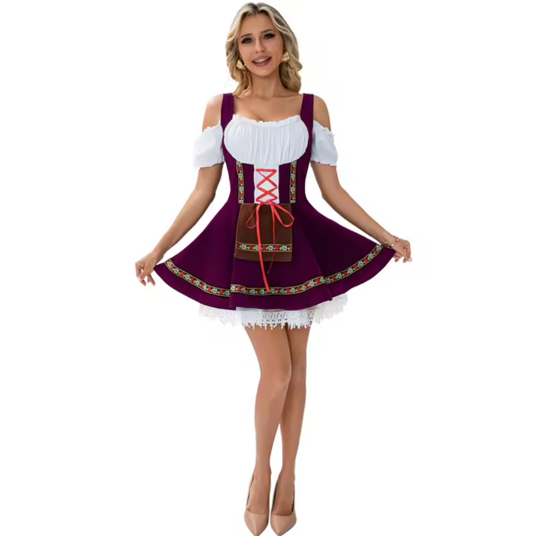 Off-Shoulder Lace-Up Embroidered Mini Dirndl Dress