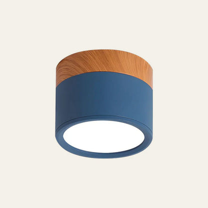 Circular Dual-Finish Ceiling Light