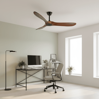 Aerodynamic Indoor Ceiling Fan