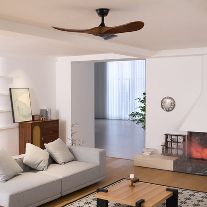 Aerodynamic Indoor Ceiling Fan