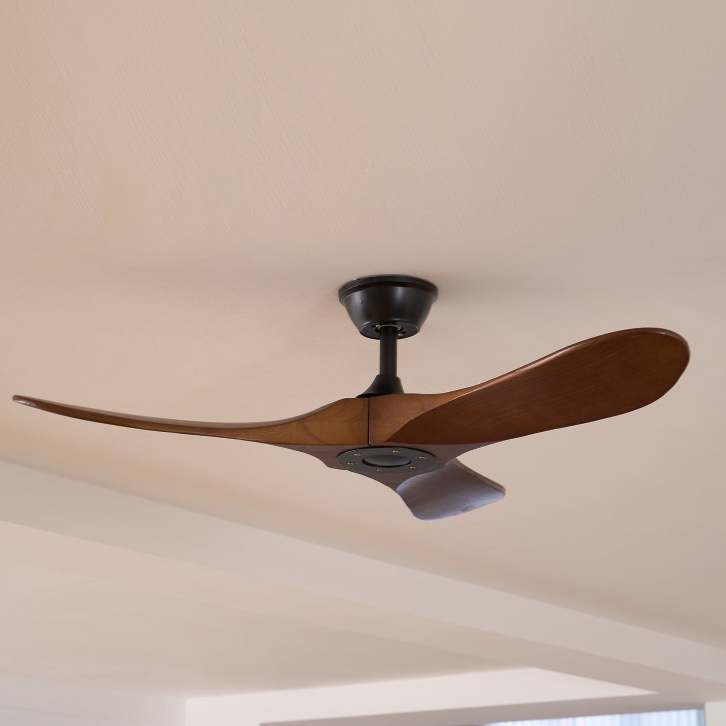 Aerodynamic Indoor Ceiling Fan