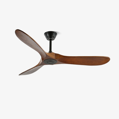 Aerodynamic Indoor Ceiling Fan