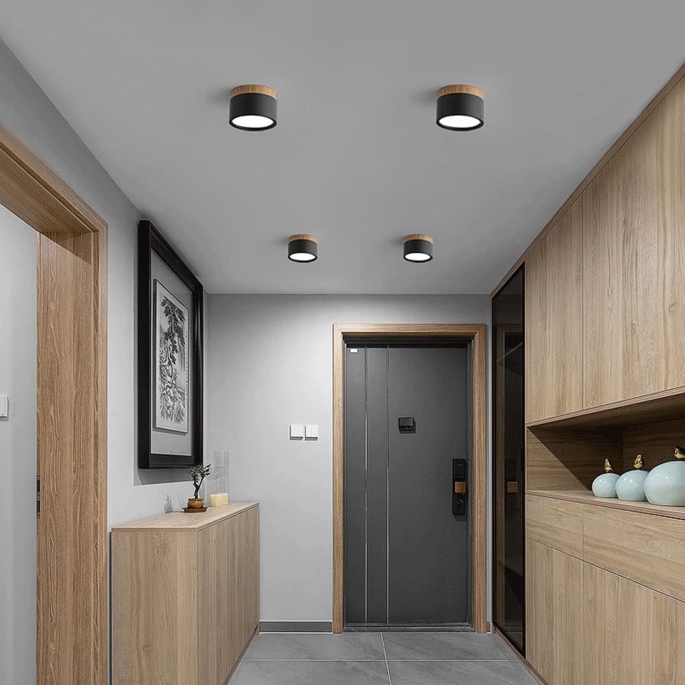 Circular Dual-Finish Ceiling Light