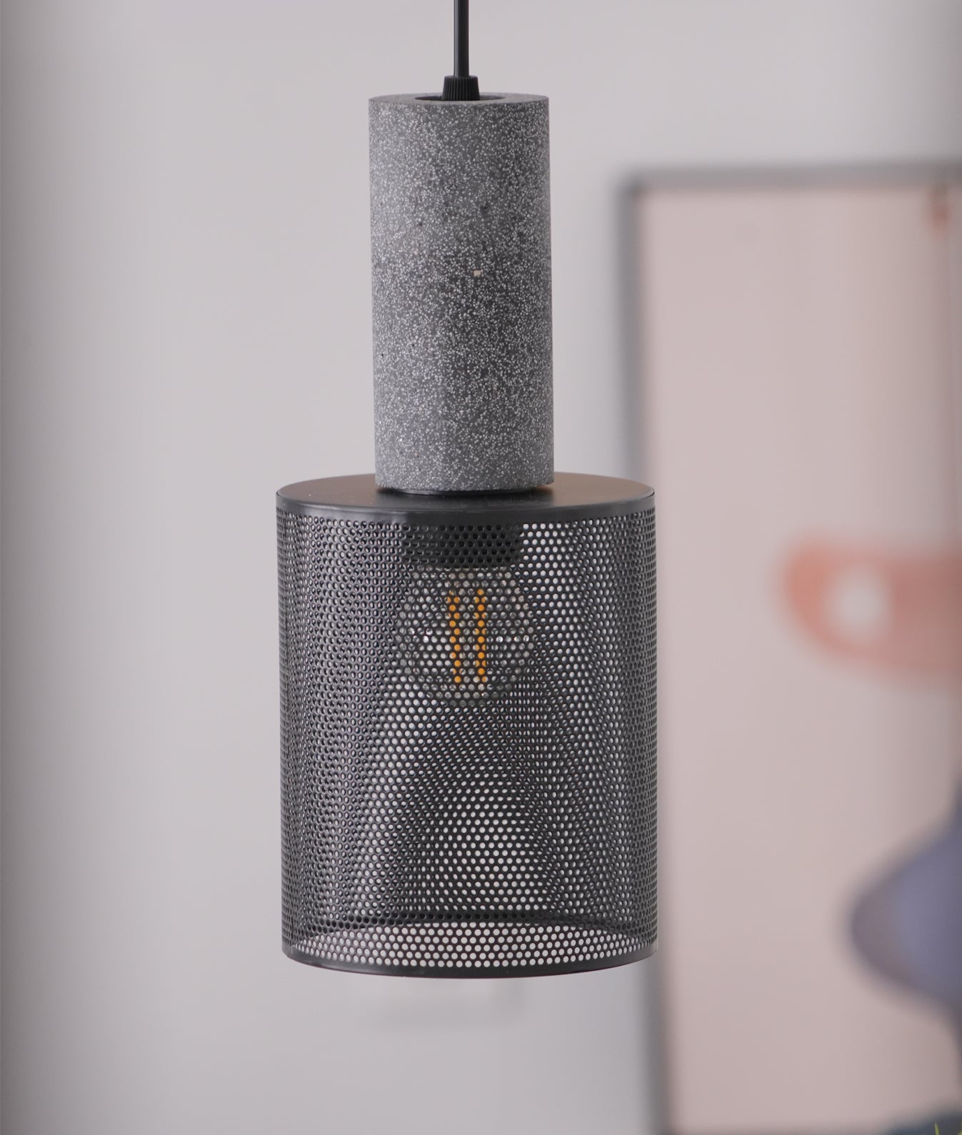 Mesh Cage Pendant Lamp