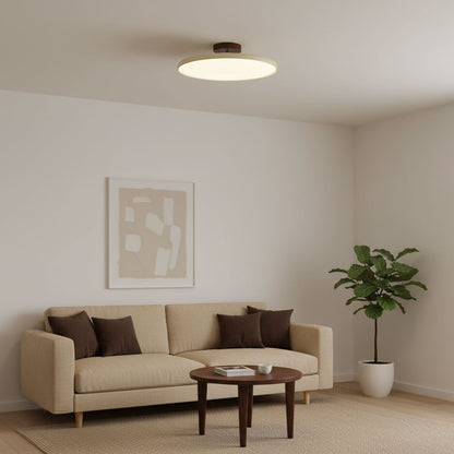 Ceiling Lamp with Adjustable Head