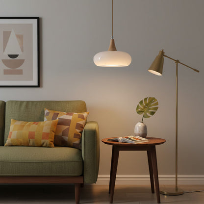 Oblate Spheroid Pendant Light