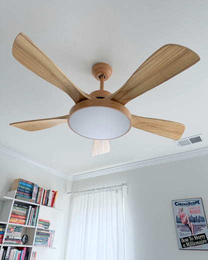 LED Ceiling Light with Reversible Fan