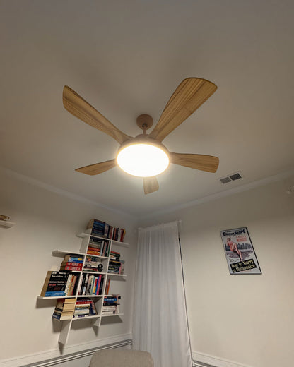 LED Ceiling Light with Reversible Fan