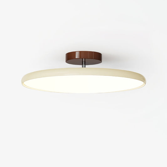 Ceiling Lamp with Adjustable Head
