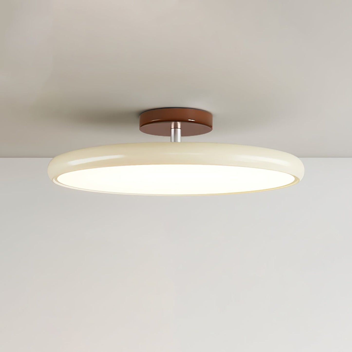 Ceiling Lamp with Adjustable Head