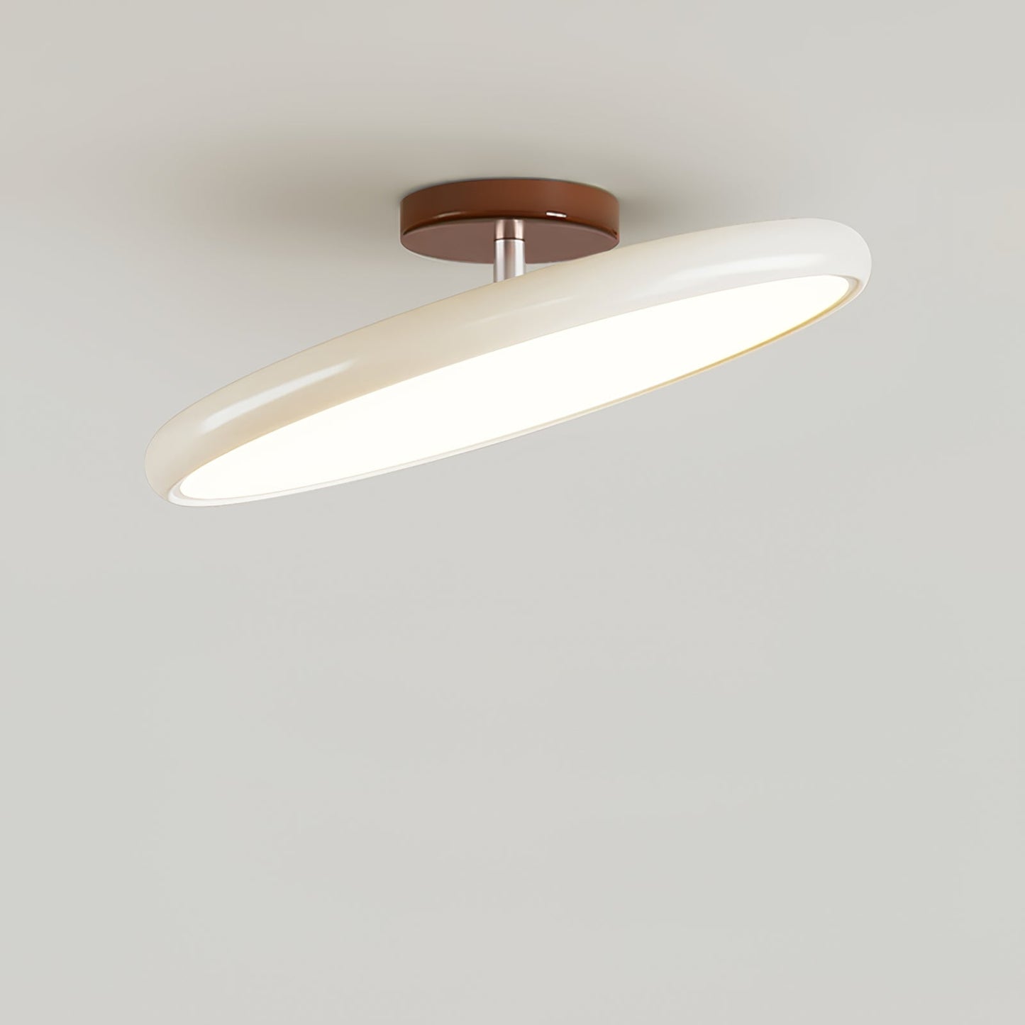 Ceiling Lamp with Adjustable Head