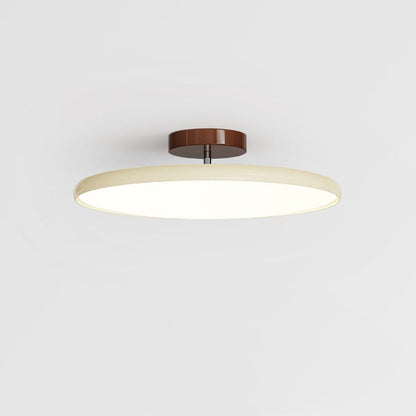 Ceiling Lamp with Adjustable Head
