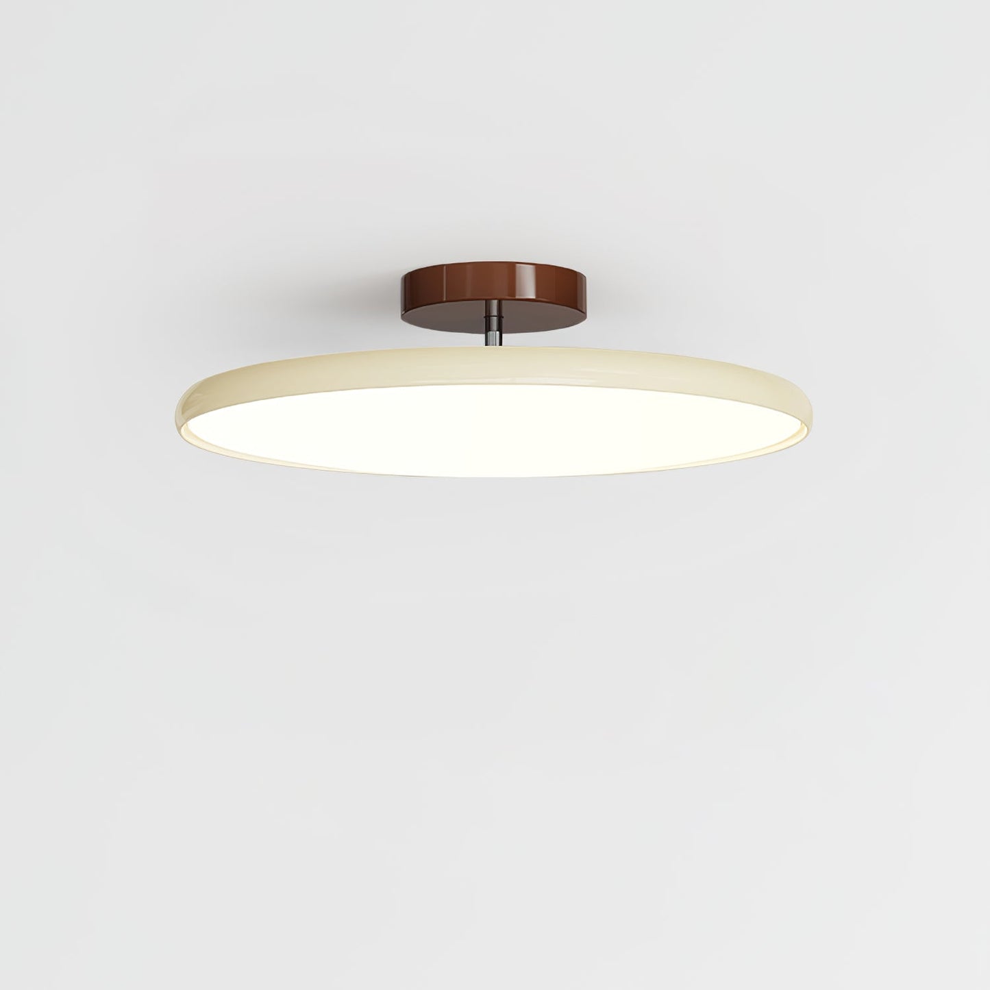 Ceiling Lamp with Adjustable Head