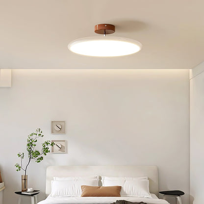 Ceiling Lamp with Adjustable Head