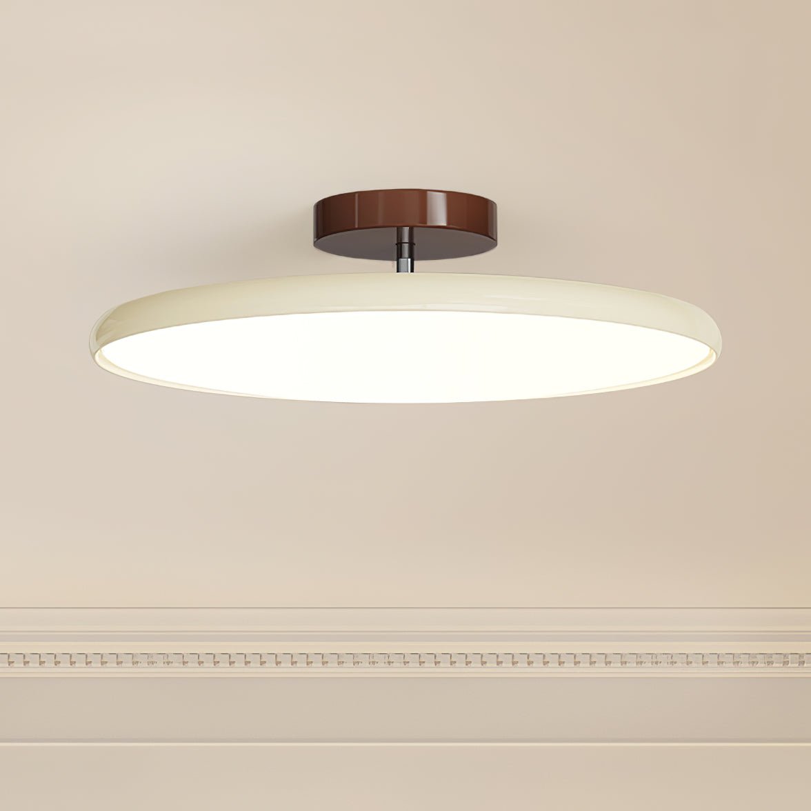 Ceiling Lamp with Adjustable Head