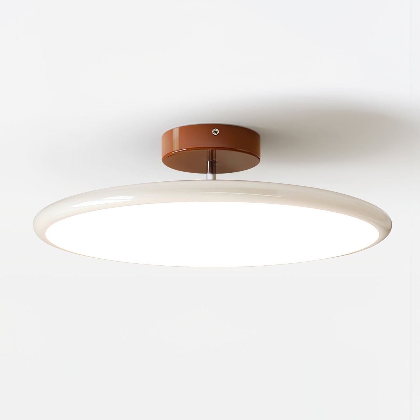 Ceiling Lamp with Adjustable Head