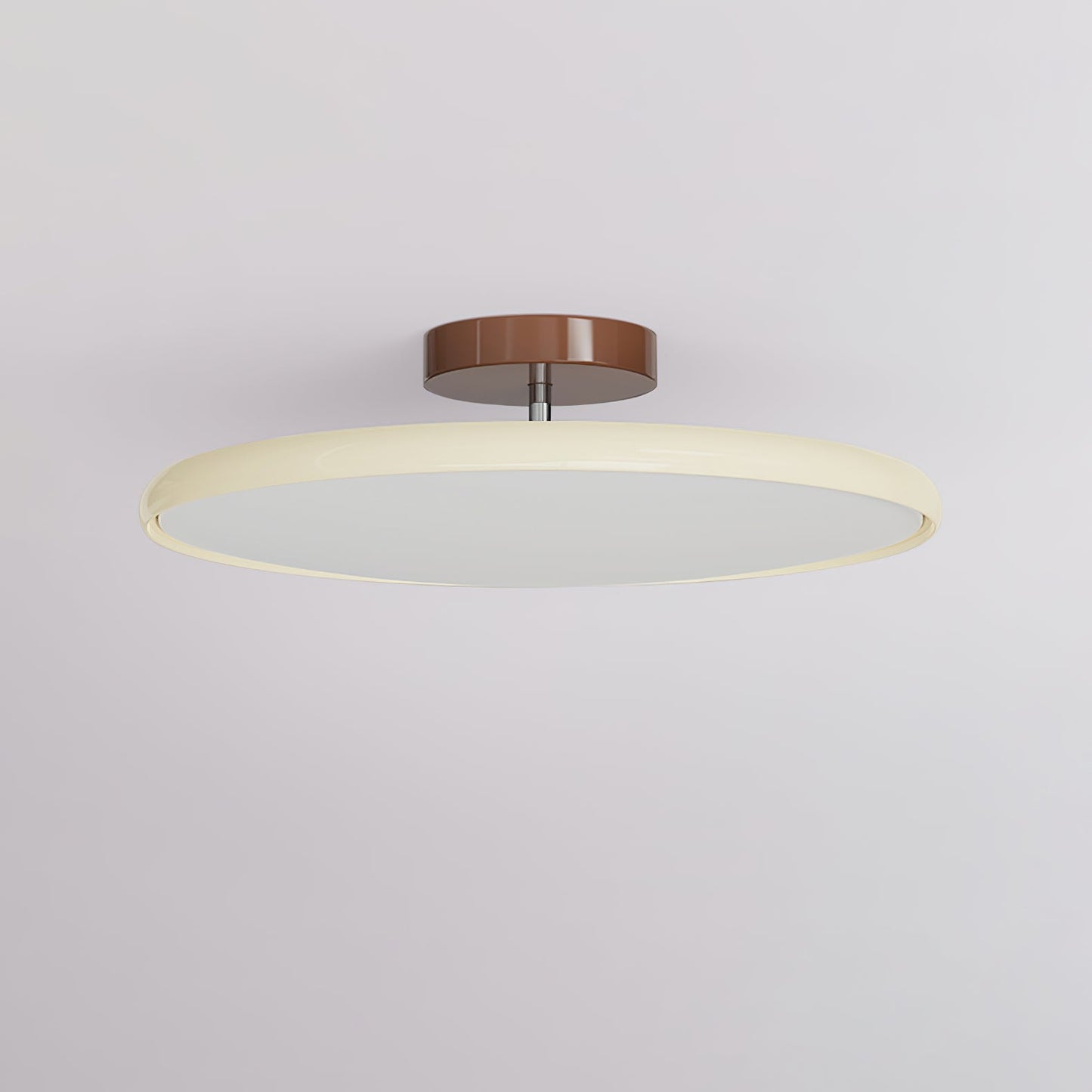 Ceiling Lamp with Adjustable Head