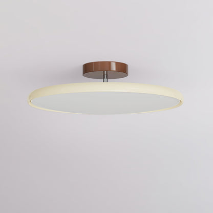 Ceiling Lamp with Adjustable Head