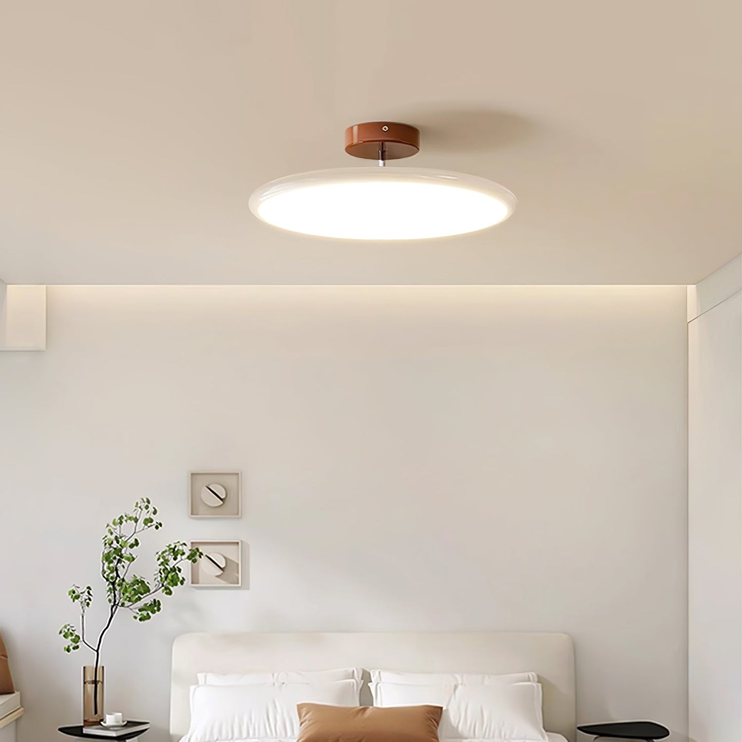 Ceiling Lamp with Adjustable Head
