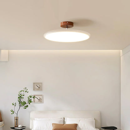 Ceiling Lamp with Adjustable Head