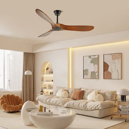 Aerodynamic Indoor Ceiling Fan