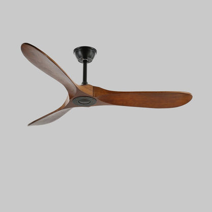 Aerodynamic Indoor Ceiling Fan