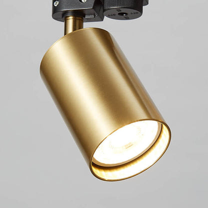 Adjustable Linear Ceiling Light