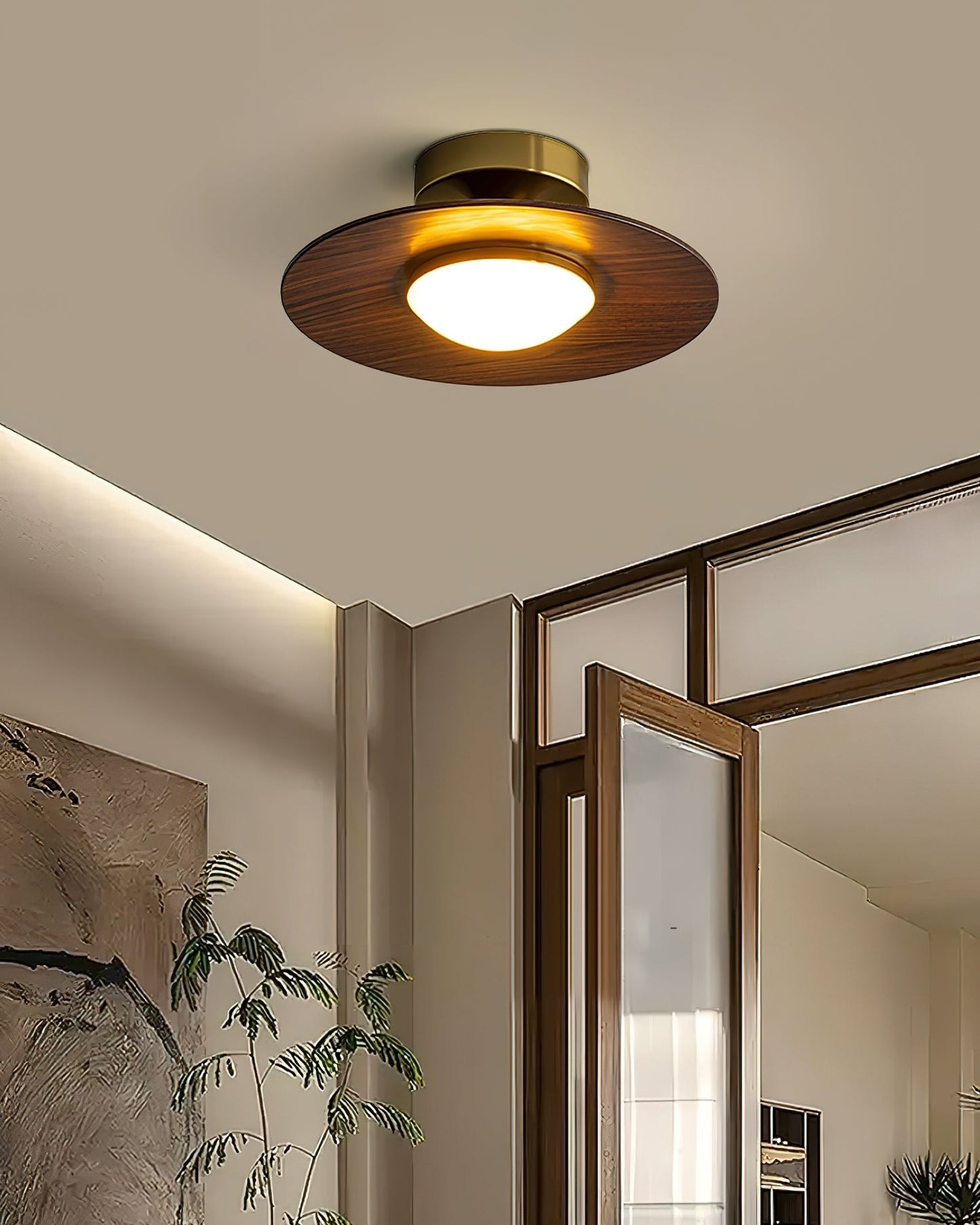 Halo Saucer Ceiling Light