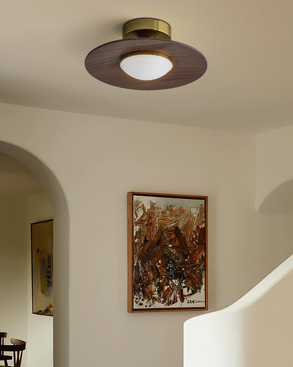 Halo Saucer Ceiling Light