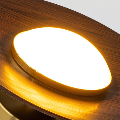 Halo Saucer Ceiling Light