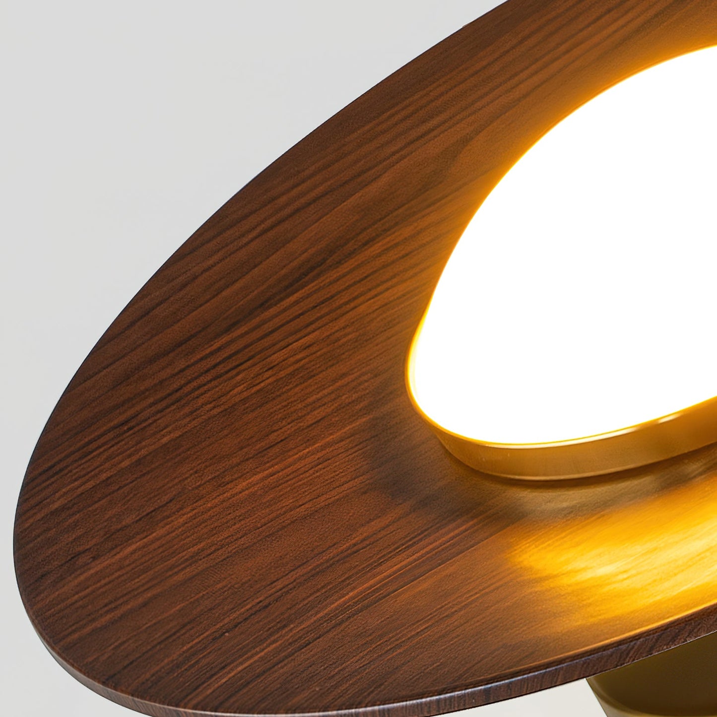 Halo Saucer Ceiling Light