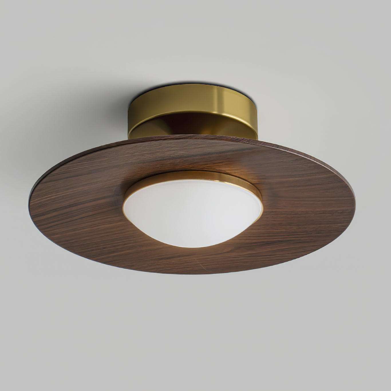 Halo Saucer Ceiling Light