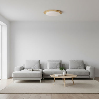 Circular Floating Effect Ceiling Lamp