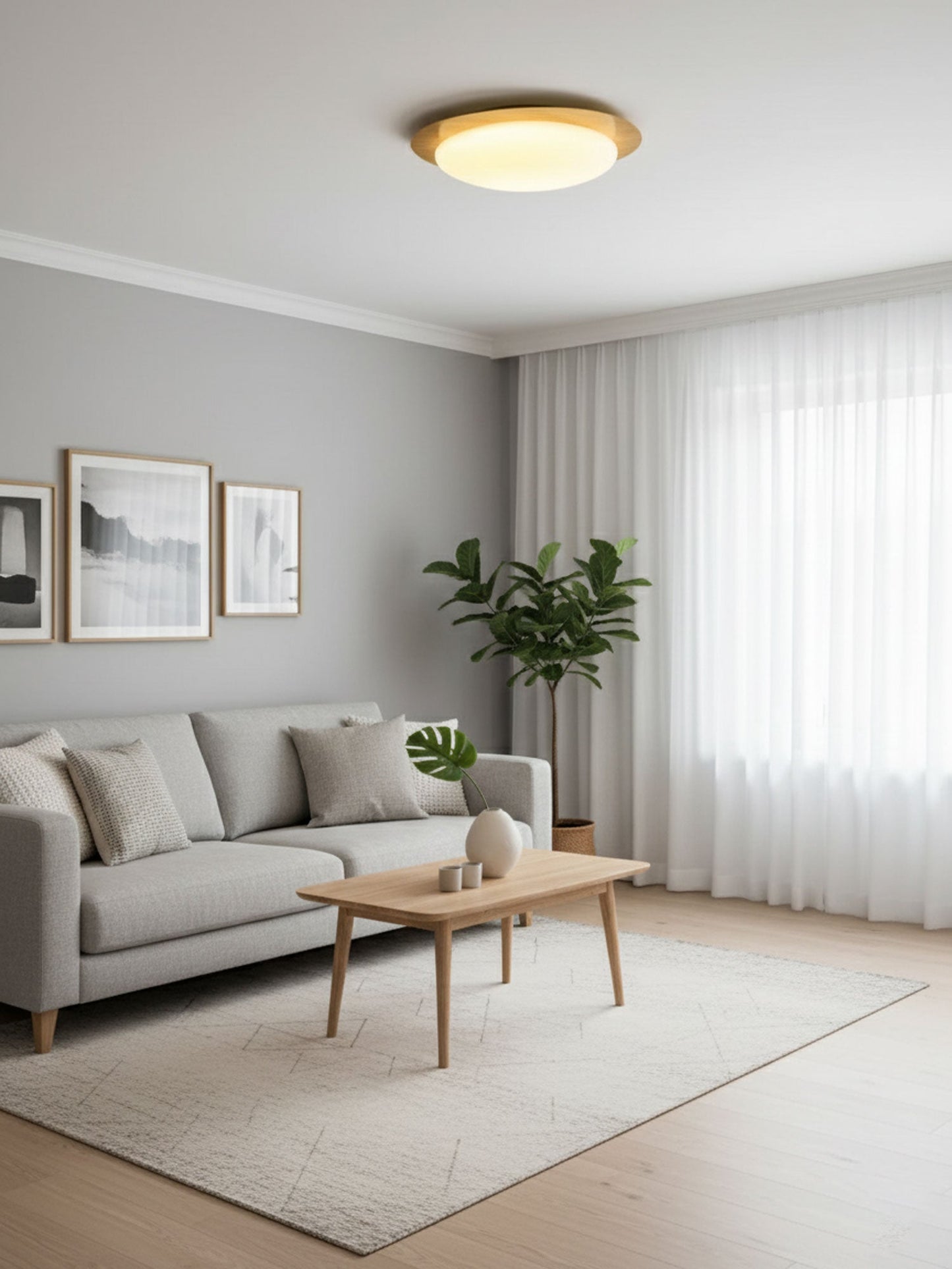 Circular Floating Effect Ceiling Lamp