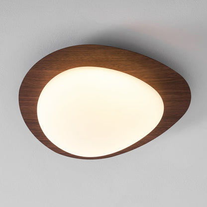 Circular Floating Effect Ceiling Lamp