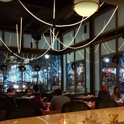 Flexible Linear Tube Pendant Light